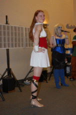 ValleyCon 37 - 2011